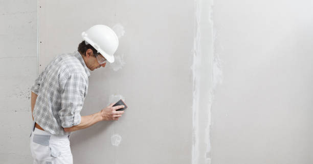 Best Wallpaper Removal and Painting  in Sugarland Run, VA